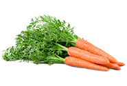 Regular Carrots