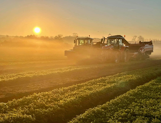 Tractors at sunset