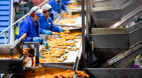 Processing carrots in the packhouse